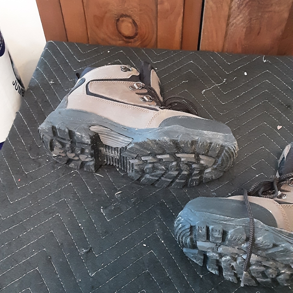 Wolverines - image 6